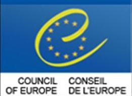 Руководитель международной миссии: «Выборы в основном соответствовали европейским критериям»