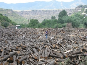 Մեկ րոպե լռությամբ հարգել են Թեղուտի ոչնչացված անտառների, Սևանում այլևս գոյություն չունեցող իշխանի... հիշատակը