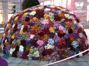 Огромную цветочную композицию заказал племянник Сержа Саргсяна?