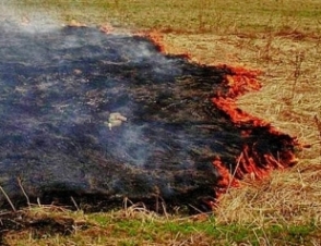 Հրդեհներ խոտածածկ տարածքներում