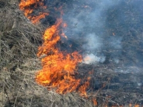 Հրդեհներ խոտածածկ տարածքներում