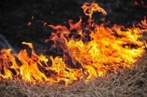 Լոռիում այրվել է 15 հա խոտածածկ տարածք