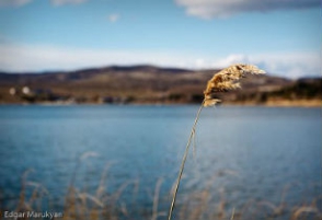 Երեխան ջրահեղձվել է