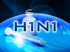 В Чили от свиного гриппа скончались 11 человек
