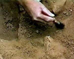 Во время раскопок на Украине обнаружили останки армянского солдата