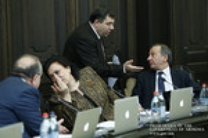 Երևանի տարածքում 3 հեկտար անտառային հողը անժամկետ տրամադրվել է «Հայաստանի ազգային սկաուտական շարժում» ՀԿ–ին