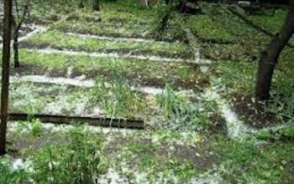 Նախարարության հորդորը գյուղացիական բոլոր տնտեսություններին