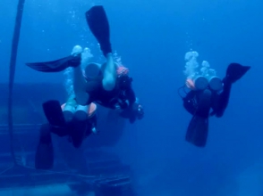 Внук Кусто побил рекорд своего деда по пребыванию под водой (видео)
