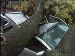 Ծառն ընկել է բակում կայանված ավտոմեքենայի վրա