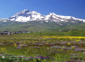 Բարձրացել է Արագած լեռ և մոլորվել