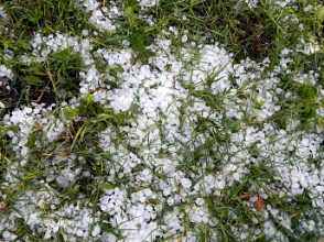 Արագածոտնի մարզում կարկուտն արտեր է վնասել