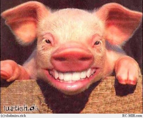 «Գլուխգործոցներ» մանկական գրքից (լուսանկար)