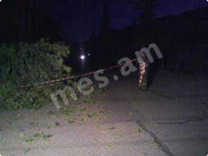 Դժբախտ պատահար Իջևան-Նոյեմբերյան ավտոճանապարհին