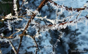 Ստեփանավանում, Լոռիում, Արագածում, Աշոցքում, Դիլիջանում տեղում է ձյուն