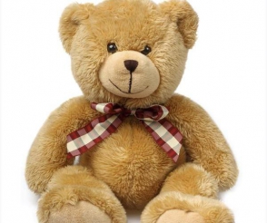 Ամերիկացու դեմ մեղադրանք է առաջադրվել նախկին ընկերուհու փափուկ արջն այրելու համար