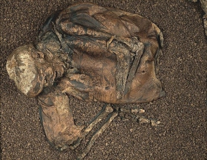 Դանիայի գերեզմանոցից զոհաբերված մարդկանց կմախքներ և փայտե առնանդամ են գտել (լուսանկար)