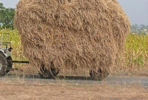 Հրդեհ Դարբաս գյուղում