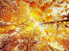 Օդի ջերմաստիճանը 26-27-ի գիշերը կբարձրանա 3-4 աստիճանով