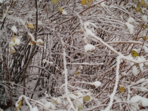 Օդի ջերմաստիճանը 4-6-ի գիշերը կնվազի 8-10 աստիճանով