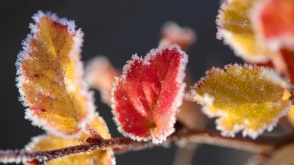 Օդի ջերմաստիճանը կնվազի 4-5 աստիճանով