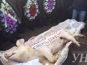Митингующие принесли гроб со свиньей к зданию Верховной рады (видео)