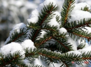 Դեկտեմբերի 31-ից մինչև հունվարի 2-ը տեղացած ձյան տեղումների քանակը գերազանցել է ամսական նորման