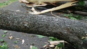 Երևանում բարդին ընկել է տաղավարի վրա