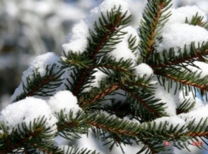 Օդի ջերմաստիճանը կնվազի 4-6 աստիճանով