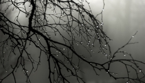 Առաջիկա 5 օրվա եղանակի կանխատեսում