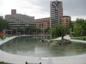 Կարապի լճի տարածքում ծառերը հատվել են  սրճարանի բարեկարգման շրջանակներում