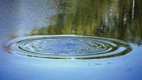 Կամրջից նետված երիտասարդ աղջկան տեղափոխել են հոգեբուժական կլինիկա