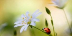 Օդի ջերմաստիճանը կնվազի