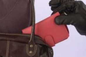 Պայուսակից դրամապանակ էր գողացել