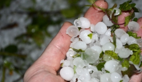 Կարկուտից Վայոց ձորում վնասվել են գյուղատնտեսական նշանակության հողատարածքներ