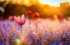 Առաջիկա 5 օրվա եղանակի կանխատեսում