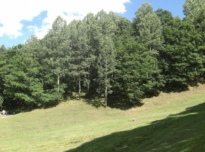 Մոլորվել է Եղեգնուտ գյուղի թունելի մոտակա անտառում