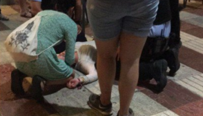 Իսպանիայում ֆլեշմոբն ահաբեկիչների գրոհի հետ են շփոթել (տեսանյութ)