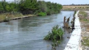 Արարատի մարզում ջրանցքն ընկած երեխան հոսպիտալացման ճանապարհին մահացել է