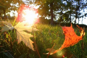 Սեպտեմբերի 29-ին, հոկտեմբերի 1-3-ին սպասվում է առանց տեղումների եղանակ