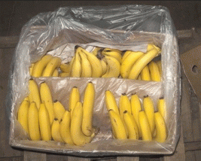 Հրդեհ Մասիսում. այրվել է բանանի 6 արկղ