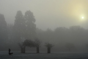 Աբովյանի և Մեղրու ավտոճանապարհներին մառախուղ է