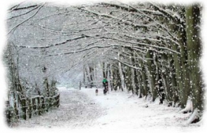 Սպիտակի և Ապարանի ավտոճանապարհներին ձյուն է տեղում