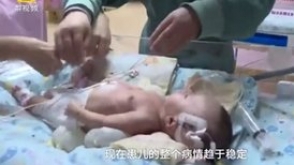 В Китае собака откопала из земли живого младенца (видео)