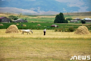 Ախալքալաքի սունելիի գինը կբարձրանա