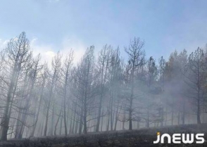 Пожары в Грузии не отступают