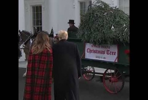 Трамп с супругой встретили рождественскую ель в Белом доме