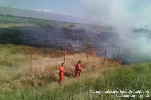 Պտղնի գյուղում մոտ 5 հա խոտածածկույթ է այրվել