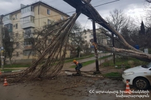 Ծառն ուժեղ քամուց արմատախիլ է եղել և շրջվել տնակի ու էլեկտրական սյան վրա