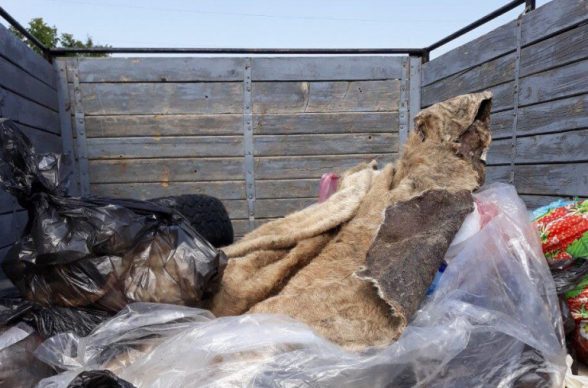 Розданное сельчанам мясо зараженного сибирской язвой животного собрали и сожгли (фото)