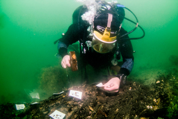 На дне моря найдены продвинутые технологии из каменного века